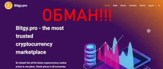 Bitgy.pro отзывы