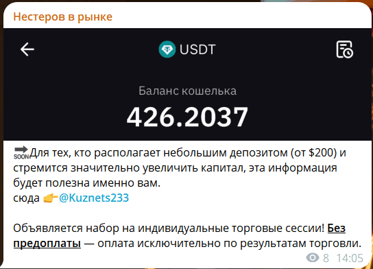 Нестеров в рынке — отзывы. Трейдер-эксперт или очередной инфо-ловкач?