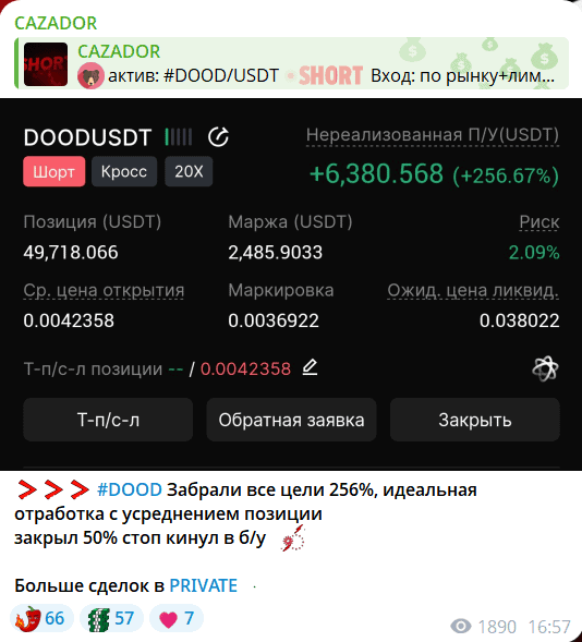 Телеграм-канал CAZADOR: обзор и отзывы. Стоит ли доверять?