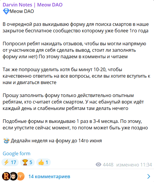 Darvin Notes | Meow DAO отзывы — сообщество трейдеров или дорогая ловушка?