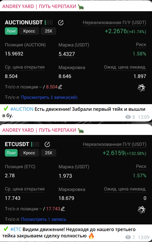 ANDREY YARD | ПУТЬ ЧЕРЕПАХИ  – отзывы и реальность