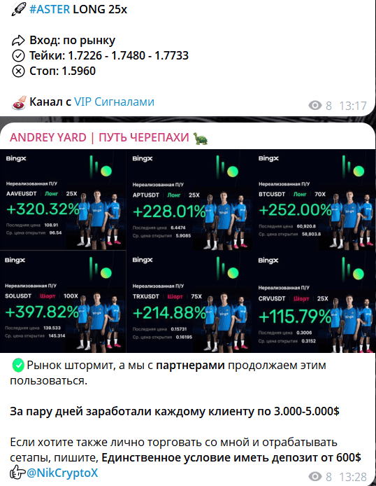 ANDREY YARD | ПУТЬ ЧЕРЕПАХИ  – отзывы и реальность