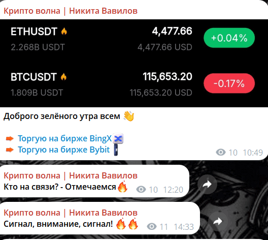 Крипто Волна | Никита Вавилов — отзывы и правда о «железных сигналах»