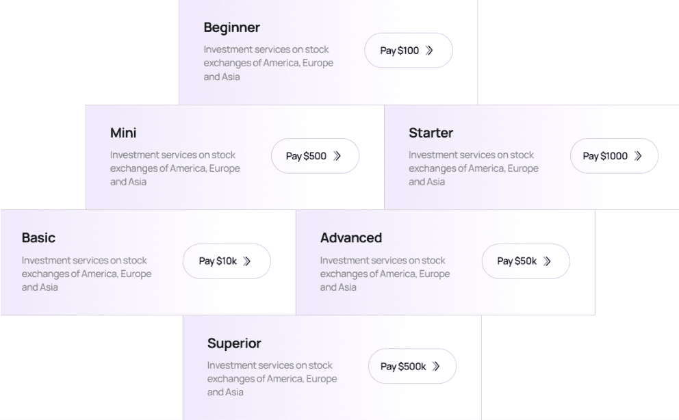 Market Securities (Dubai) Limited — схема под видом брокера