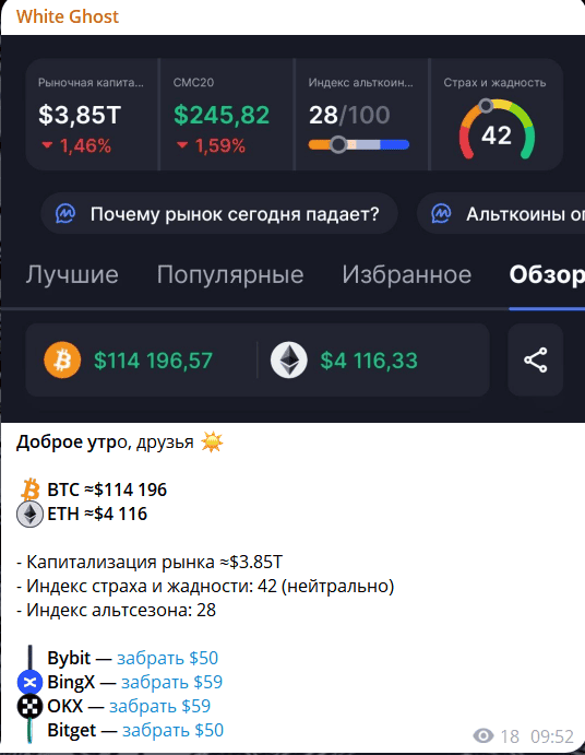 White Ghost — отзывы и разоблачение криптоканала с сомнительной торговлей и обещаниями доходов