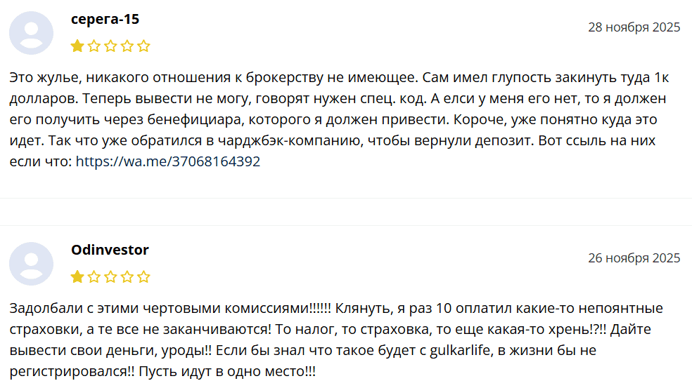 Gulkarlife — отзывы и разоблачение. Почему проект вызывают серьёзные сомнения