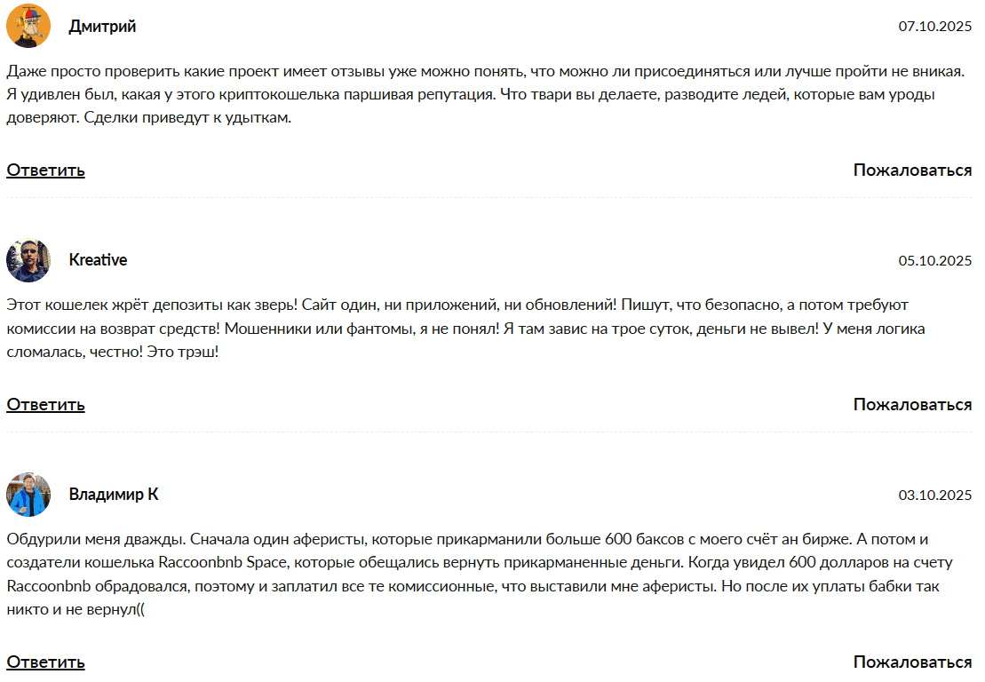 RaccoonBNB: кошелёк или очередная ловушка для криптоинвесторов?
