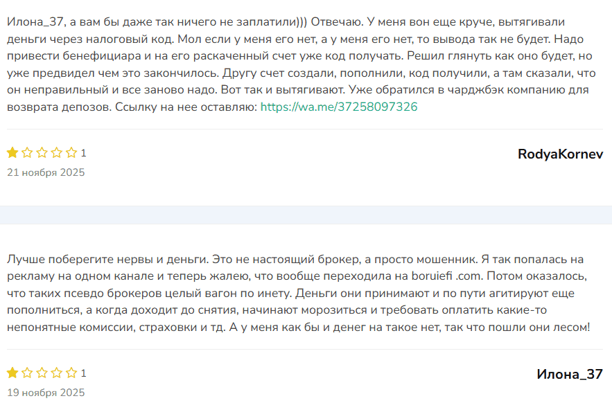 Boruiefi — отзывы и проверка брокера. Почему boruiefi.com представляет высокий риск