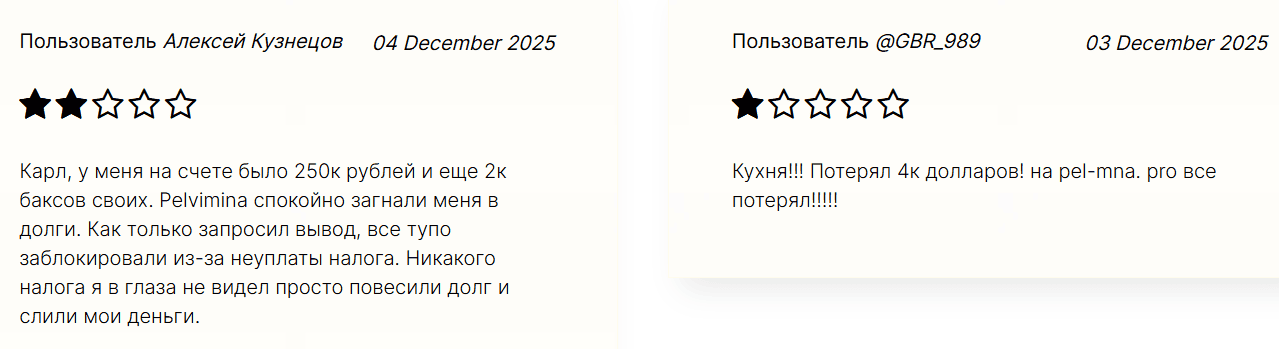 Pelvimina — отзывы: брокер с поддельными лицензиями и завышенными обещаниями