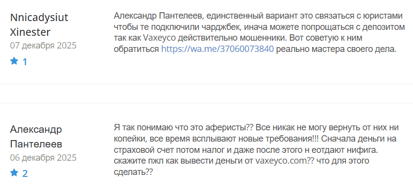 Vaxeyco — отзывы и проверка брокера. Почему vaxeyco.com представляет высокий риск